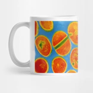 Staphylococcus aureus bacteria (B234/0030) Mug